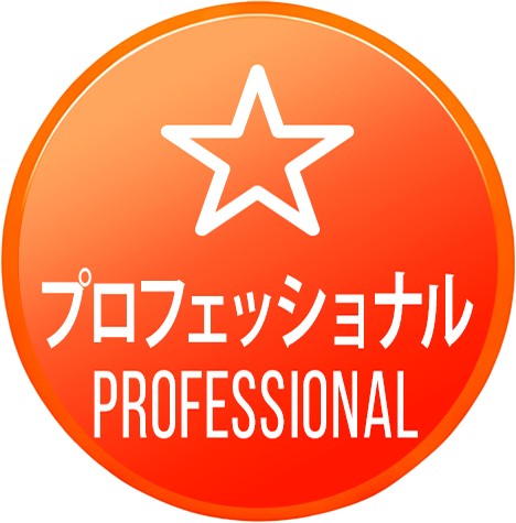 プロフェッショナル PROFESSIONAL